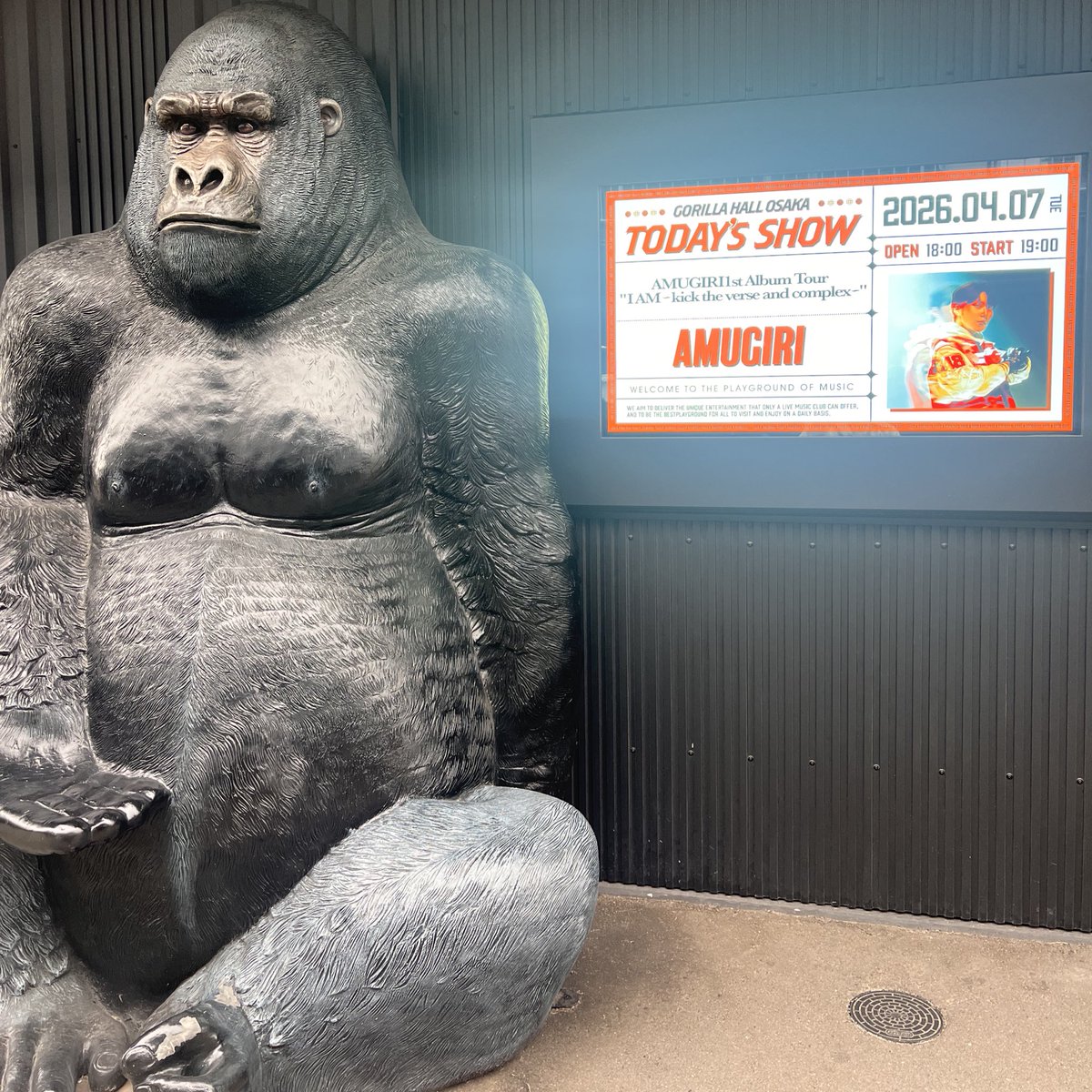 com__05__'s tweet image. ゴリラホール到着！！
風強くて髪ボッサボサになる😂
ツーショもライブもペンラ振り回して
いっぱい楽しむぞ〜🫶🏻🎀📸
 #コムドットあむぎり  #IAM  #コムドット 
@comamugiri0123