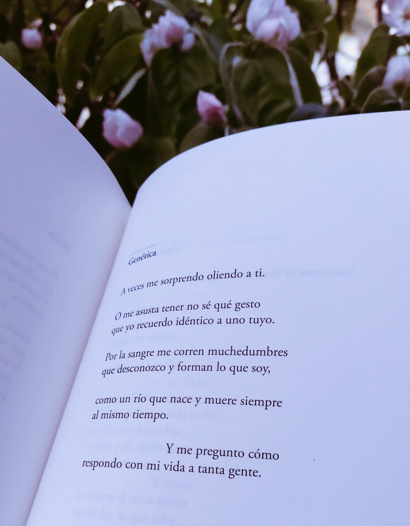 maeso_alonso's tweet photo. Genética es el título de este poema de José Mateos. Hermosa reflexión sobre lo que somos, esencia de los nuestros, y de los que vendrán a nosotros y nos dejarán su huella. https://t.co/A8hlInCWfX