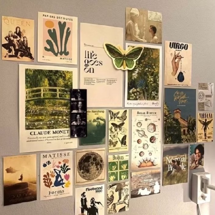 chitoro𐦍 tweet media