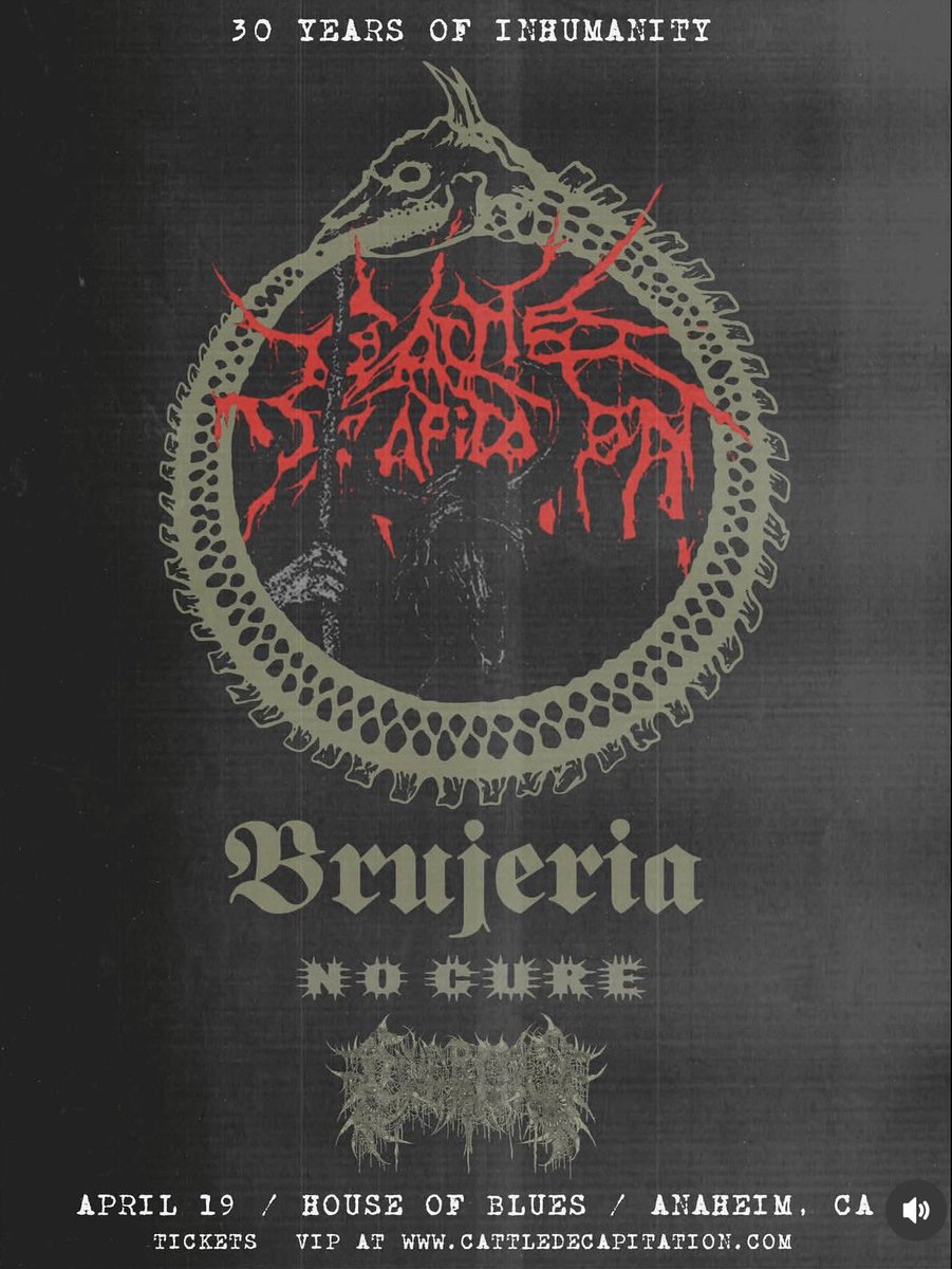 Drew 🧙♂️))) tweet media