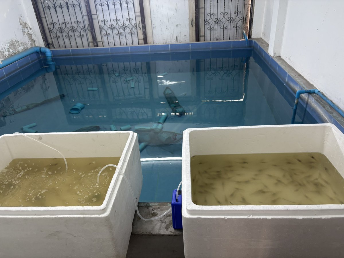 🐡🐟🐠M..AQ🐬🐳🐋 tweet media