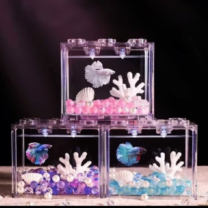 chitoro𐦍 tweet media