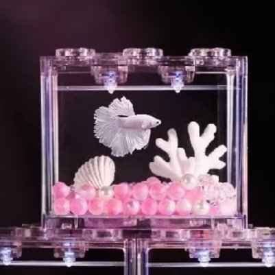 chitoro𐦍 tweet media