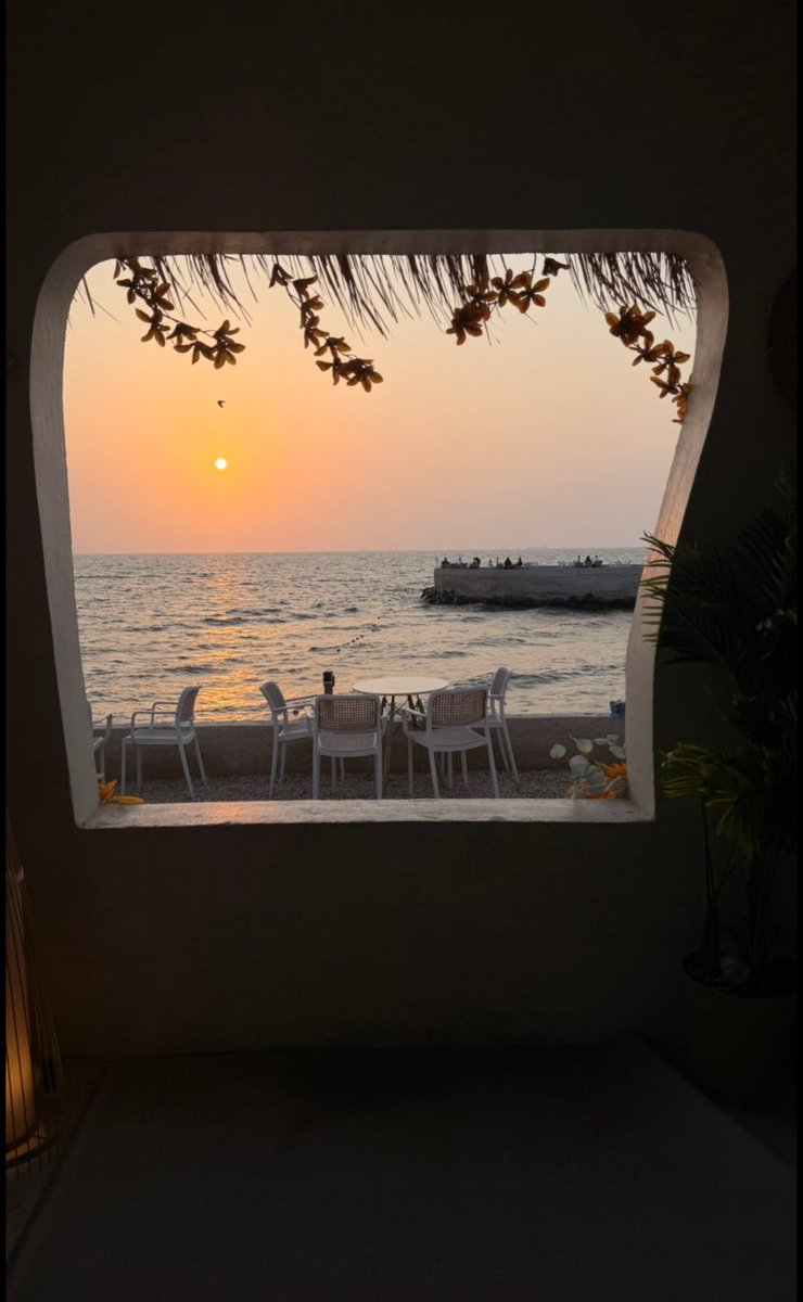 علي الرياني ♿قارب الأحلام tweet media