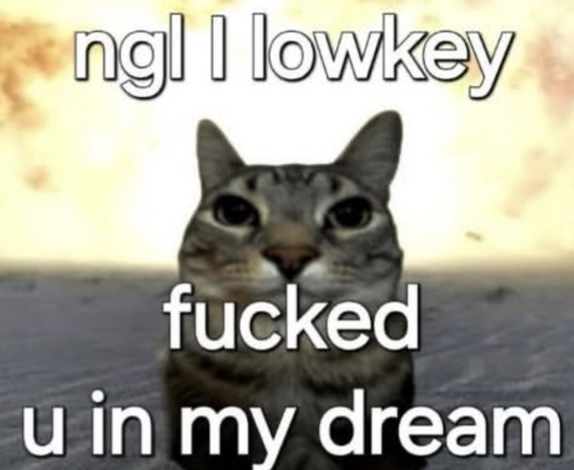 raccoon aesthetic. tweet media