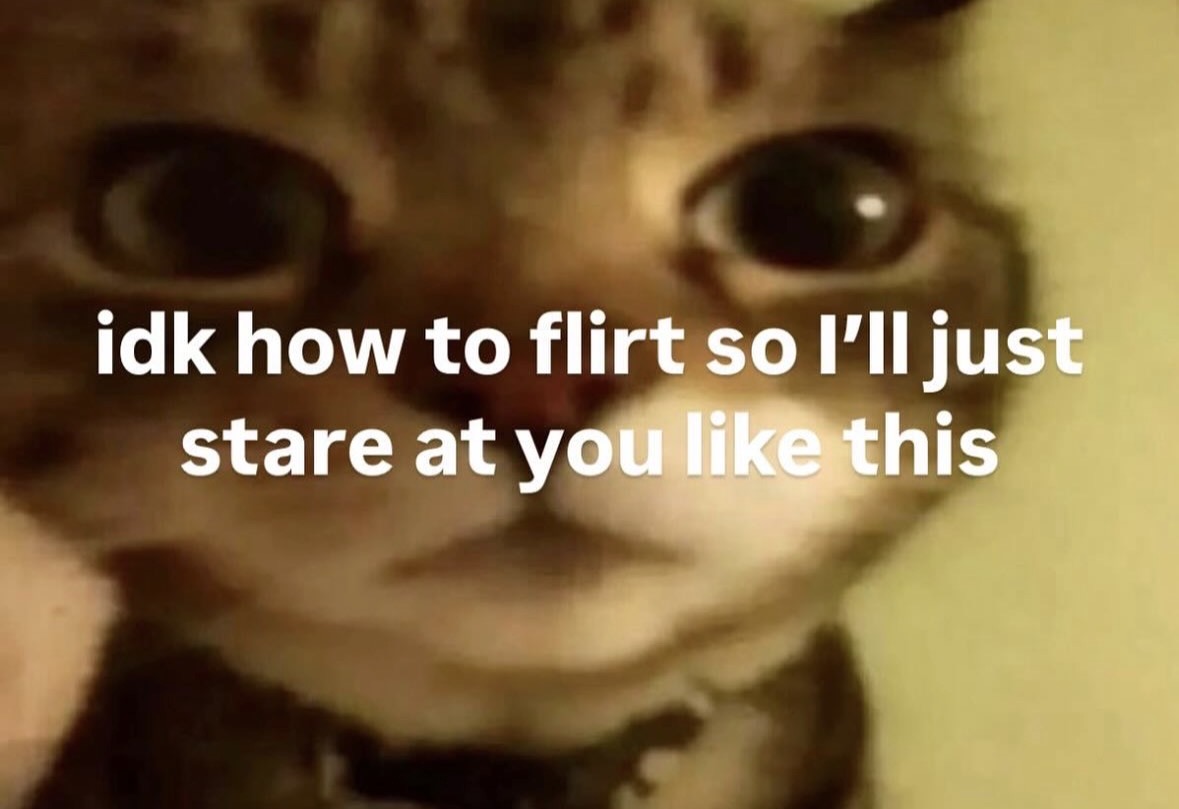 raccoon aesthetic. tweet media