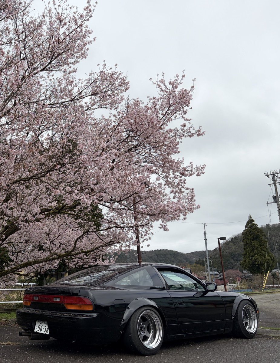 ヤマモ tweet media