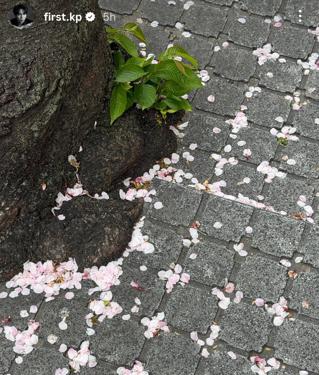 andy 💗 tweet media