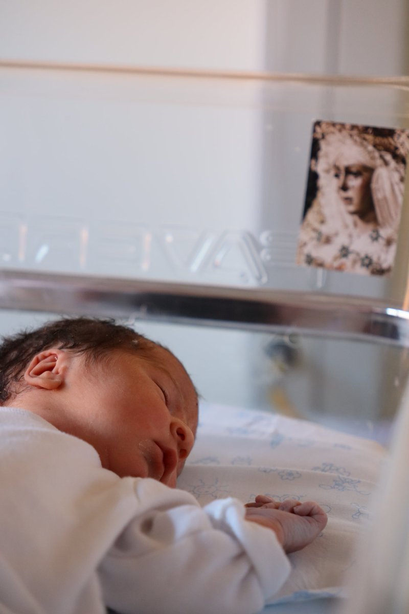 Cherlotbond tweet media