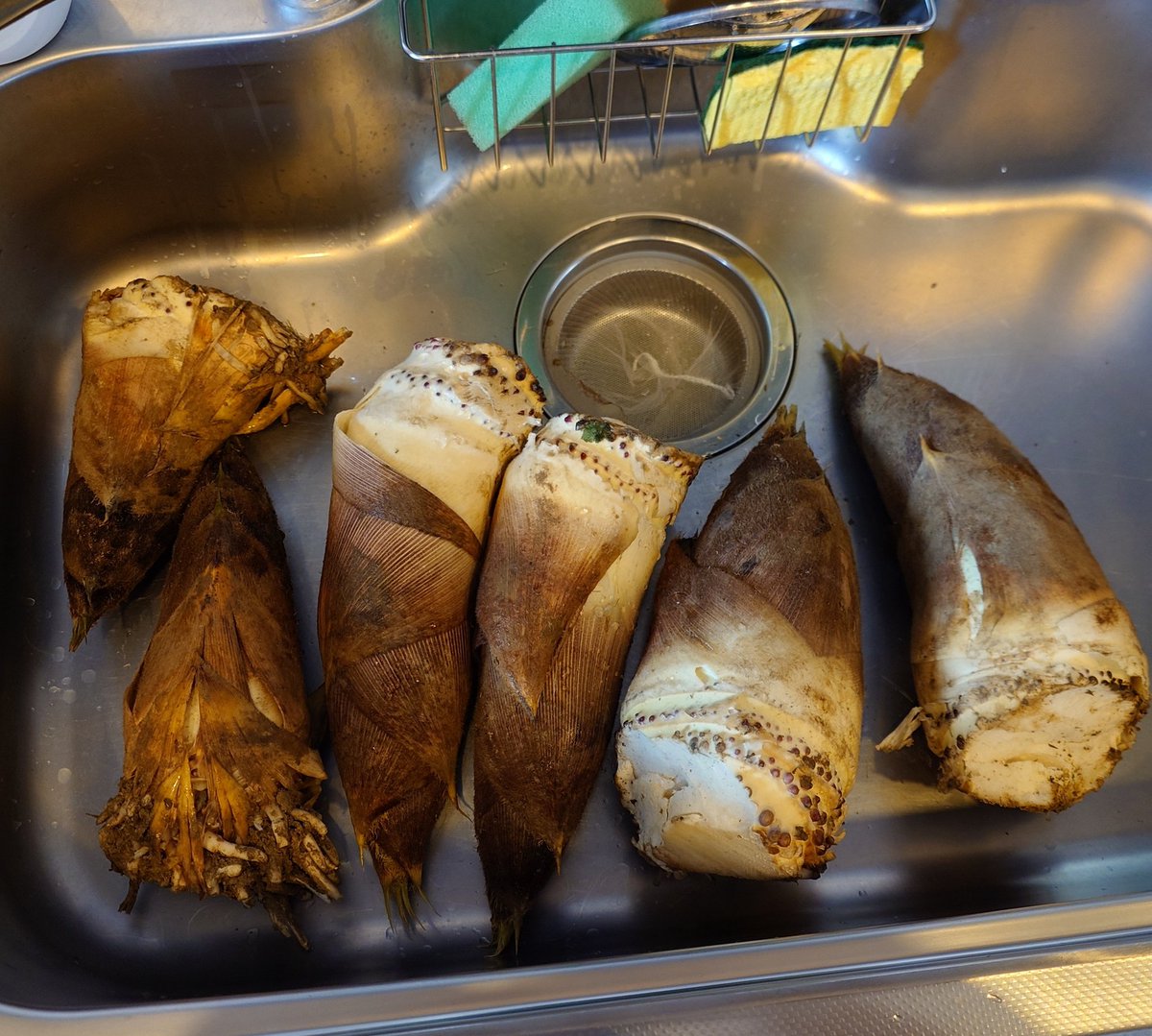 椹野道流🍣ﾌｼﾉﾐﾁﾙ tweet media