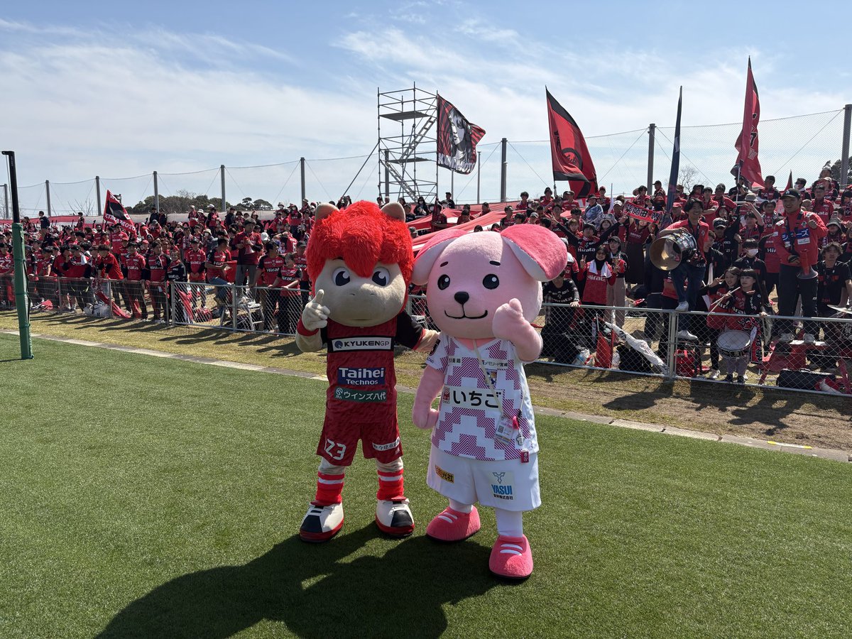 ロアッソくん【イケウマ】 tweet media