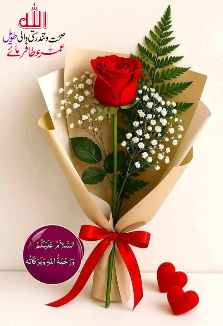 Alamgir Zeb tweet media