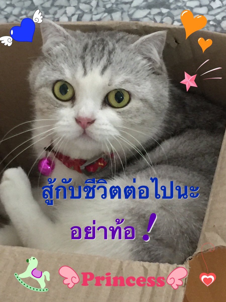 Chart1467596's tweet photo. @Valentine5c https://t.co/YJ5O3h70E2