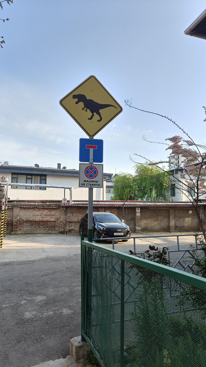 𝑺𝒂𝒊𝒅𝒎𝒂𝒍𝒊𝒌 ~ 🌑 tweet media