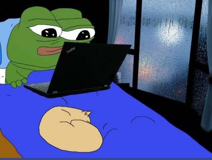 OXMallam.hl 🤘🌪️ tweet media