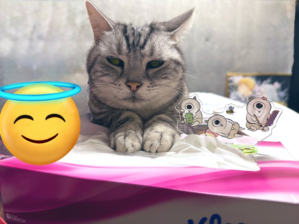 次第👶次は５月🦅🌞 tweet media