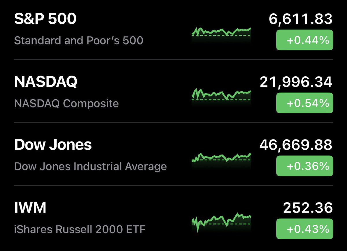 Hyper Shark! tweet media