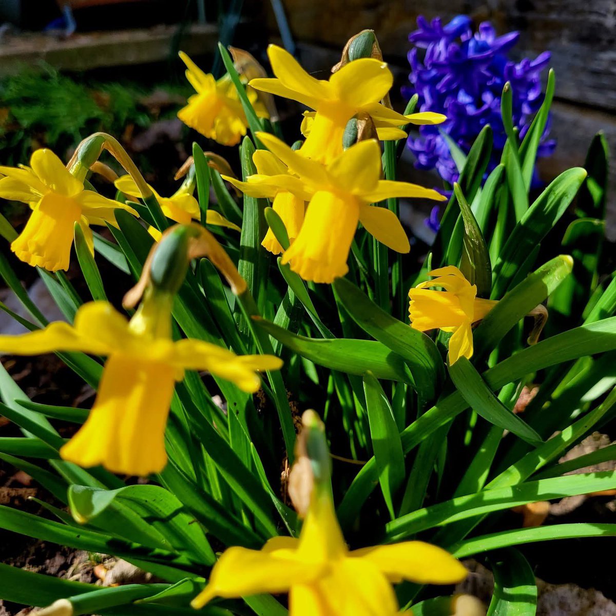 𝖠𝗇𝗍𝗃𝖾 tweet media