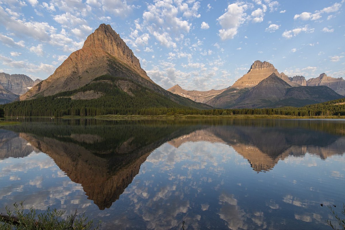 Stephen Diephuis tweet media