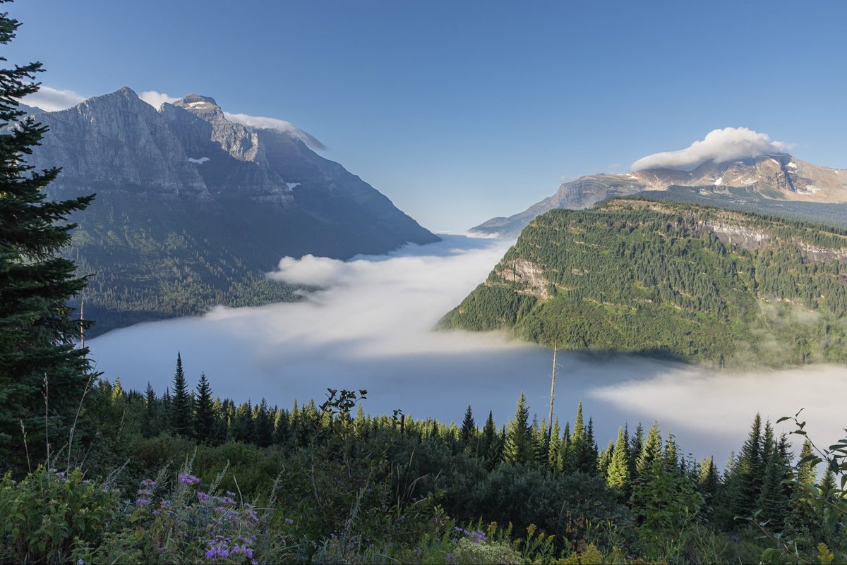 Stephen Diephuis tweet media