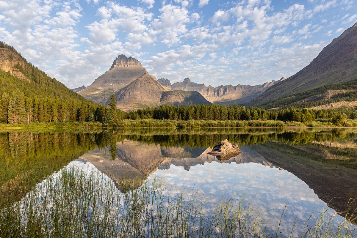 Stephen Diephuis tweet media