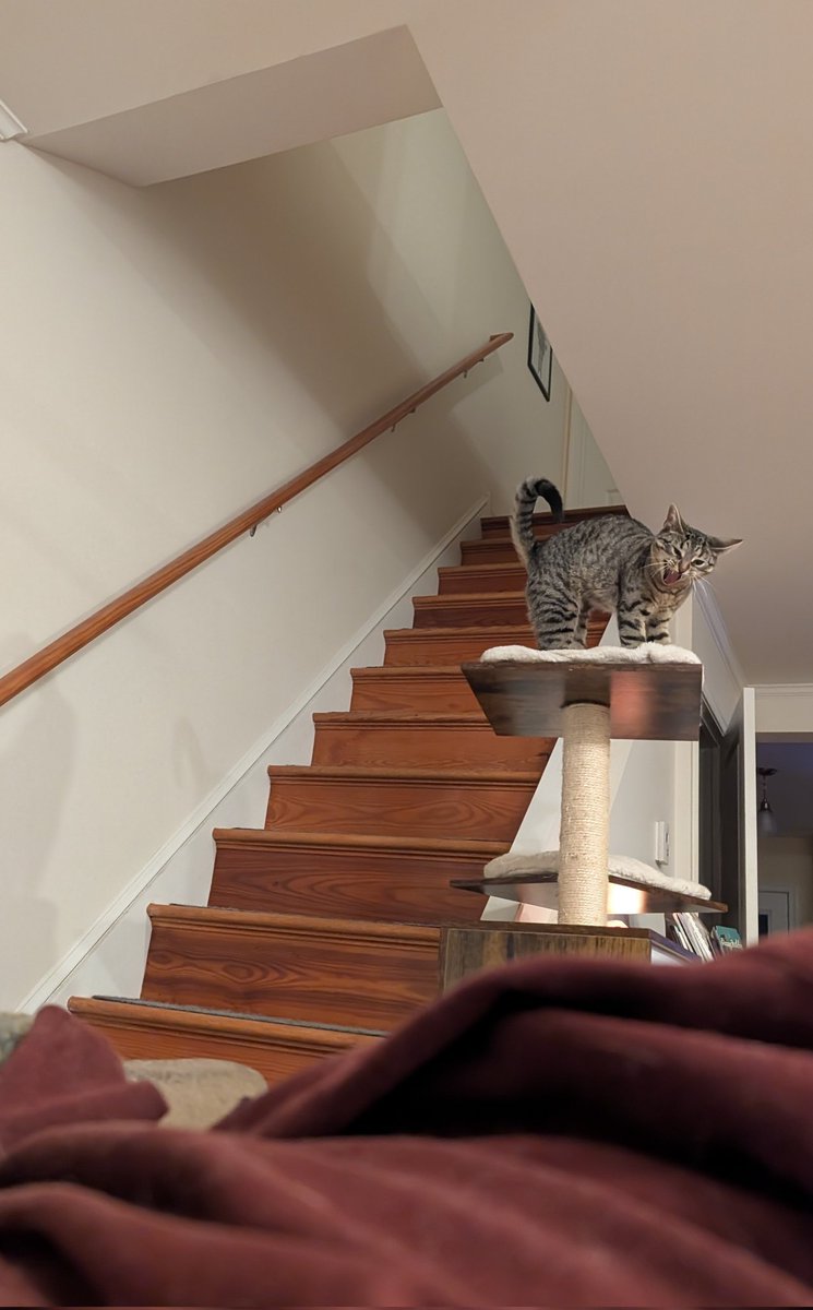 Zweil, The Reviled tweet media