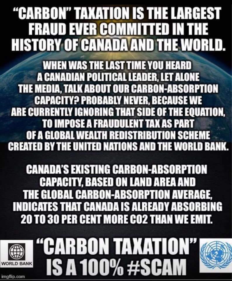 debivice tweet media