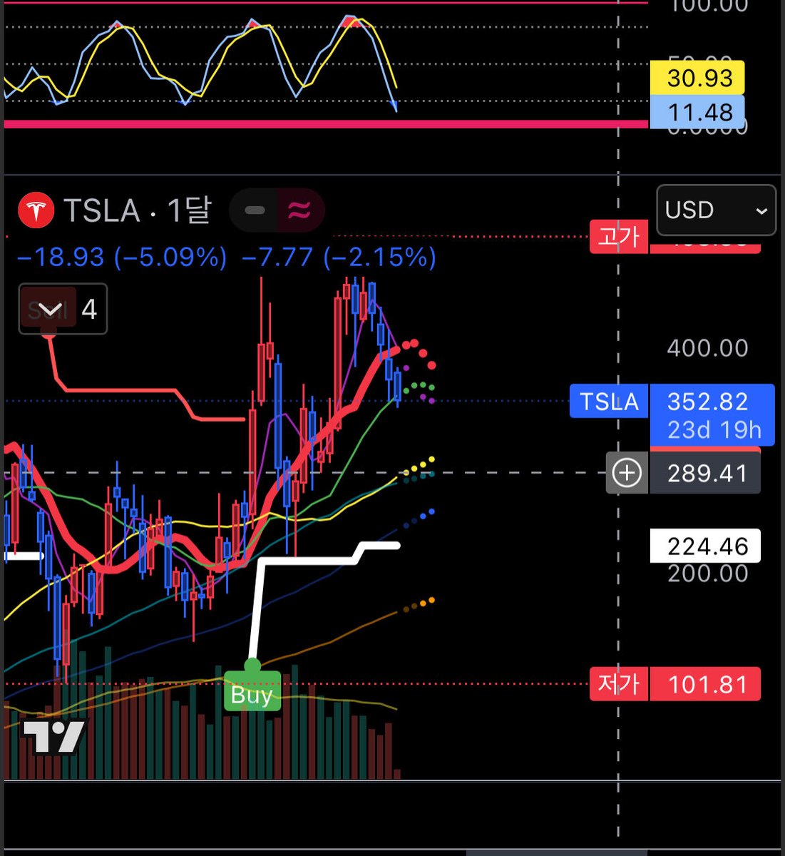 피그다람쥐 tweet media