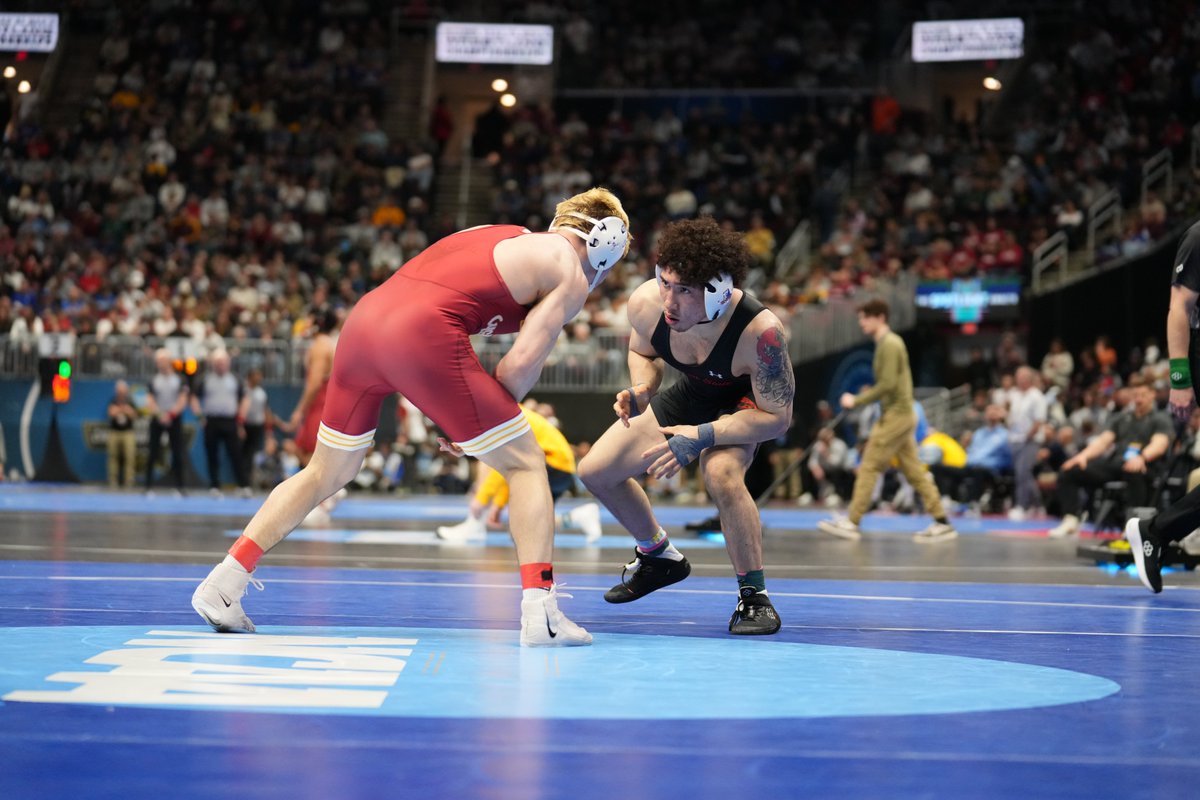 Morgan State Bears tweet media