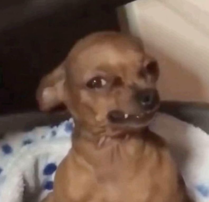 Thiare V. 🇨🇱 tweet media