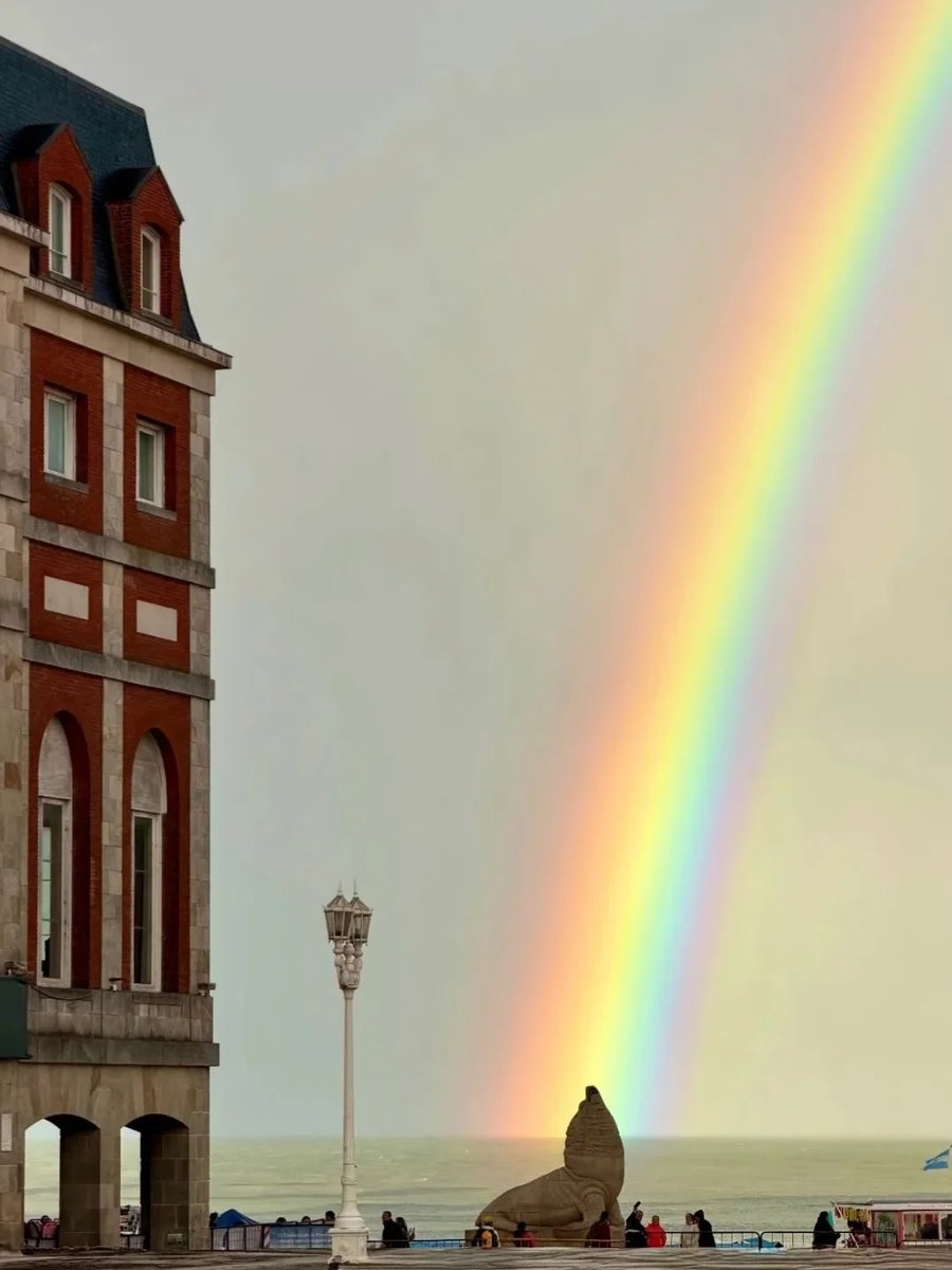 The Argentinean Empire tweet media