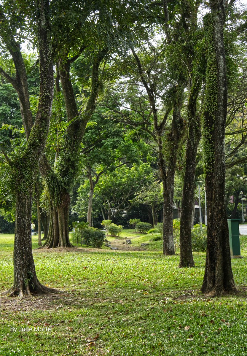 Bruised Lee tweet media