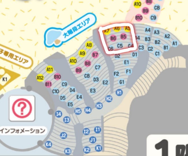 🍼🎀 tweet media