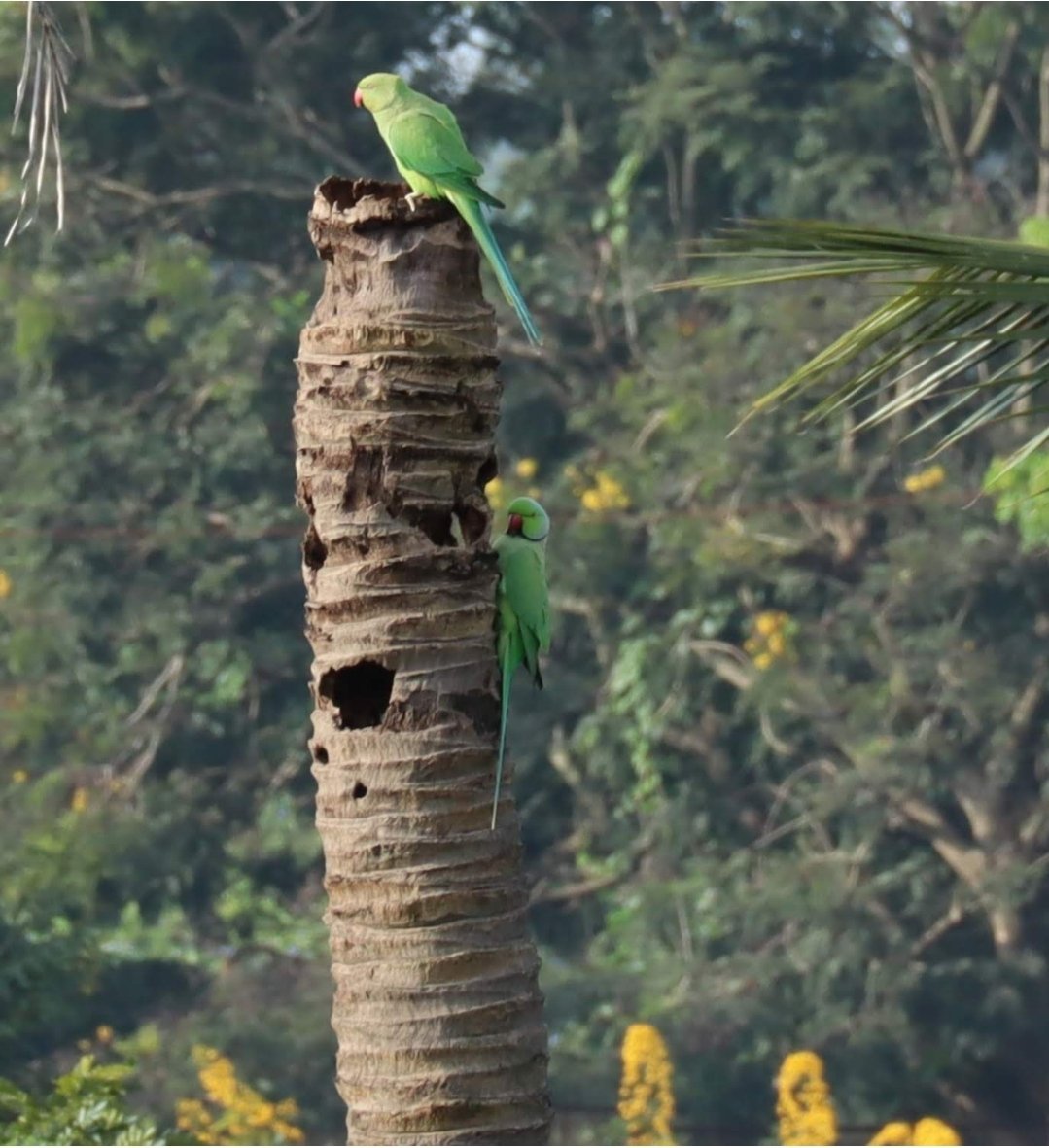 Arvind Mishra 🇮🇳 tweet media