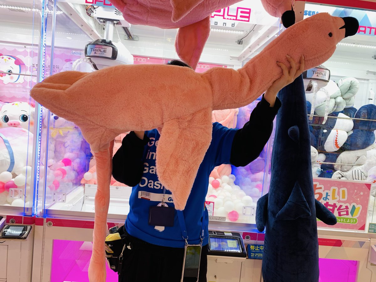 🌟🌈景品入荷情報🌈🌟 「爆でか！寝そべるフラミンゴぬいぐるみ」 が