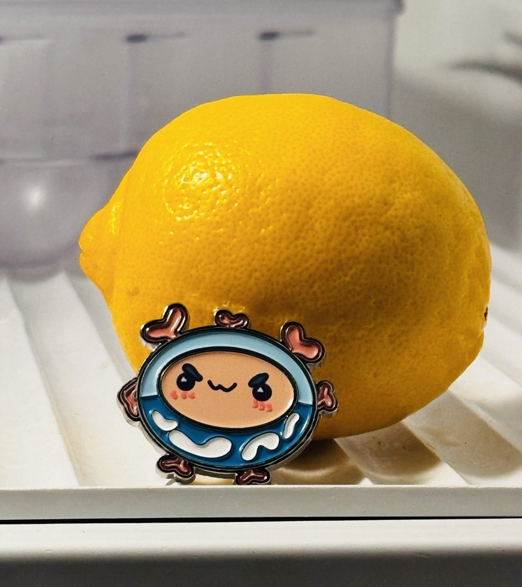 crysthelemon's tweet photo. Everyone has an oshi, and mine is @Shoomimishoom 🧠 #ProudShoominion https://t.co/95Czah4sHH