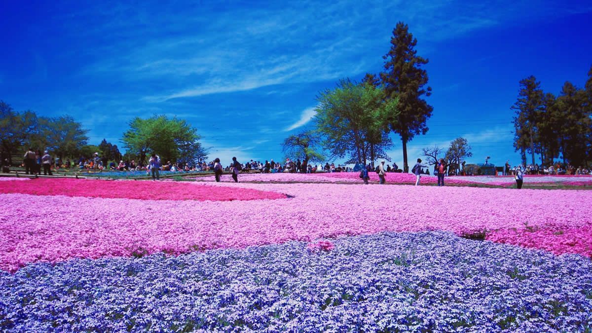 イベントチェッカー製作委員会 tweet media