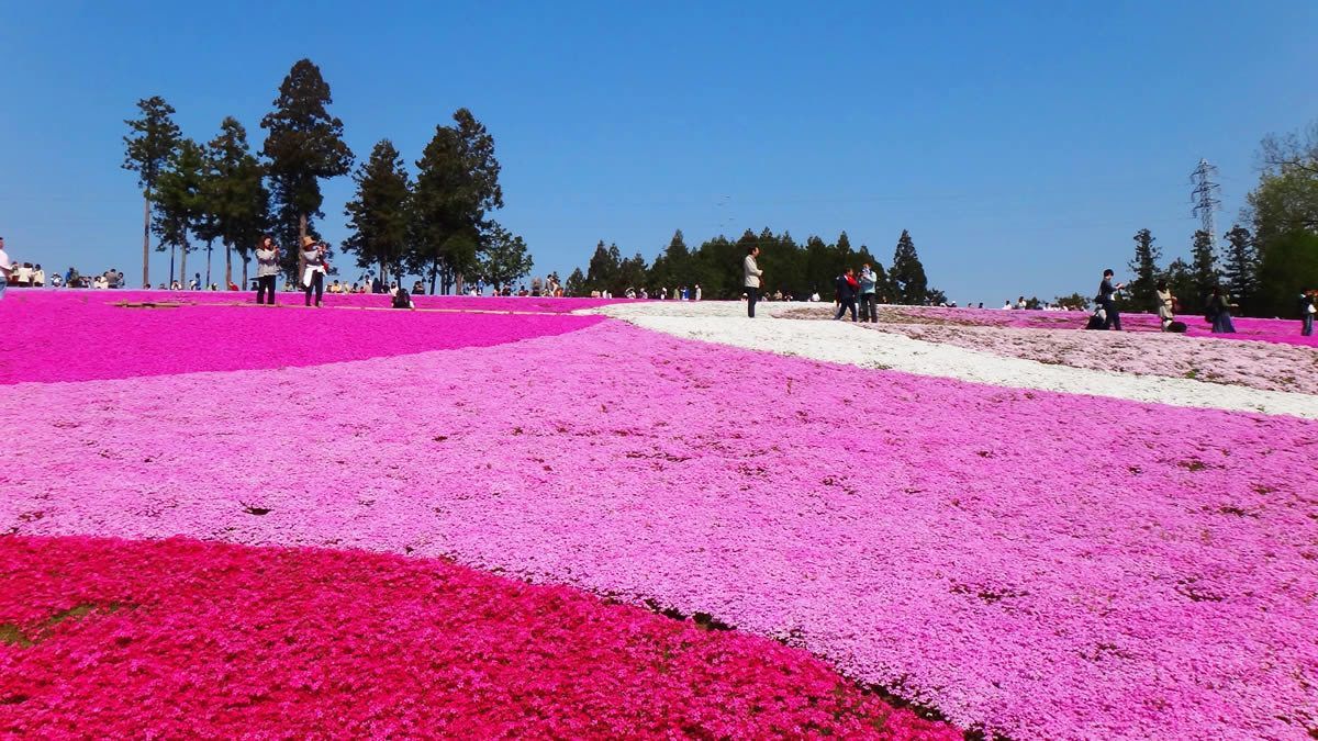 イベントチェッカー製作委員会 tweet media