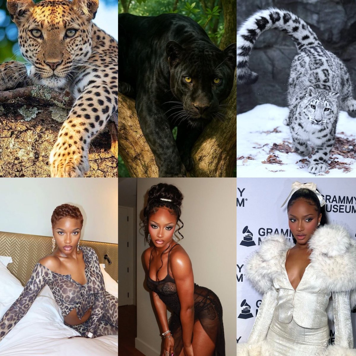 B.i.n.t strarr 🌟💜🐆 tweet media
