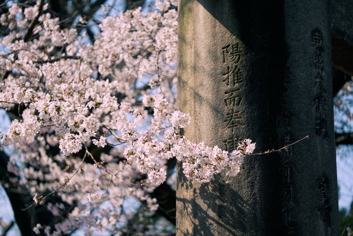 LVR_HONDA's tweet photo. @sonozakiphoto 迷走中なので評価お願いします！ https://t.co/W5MmT7M6nq