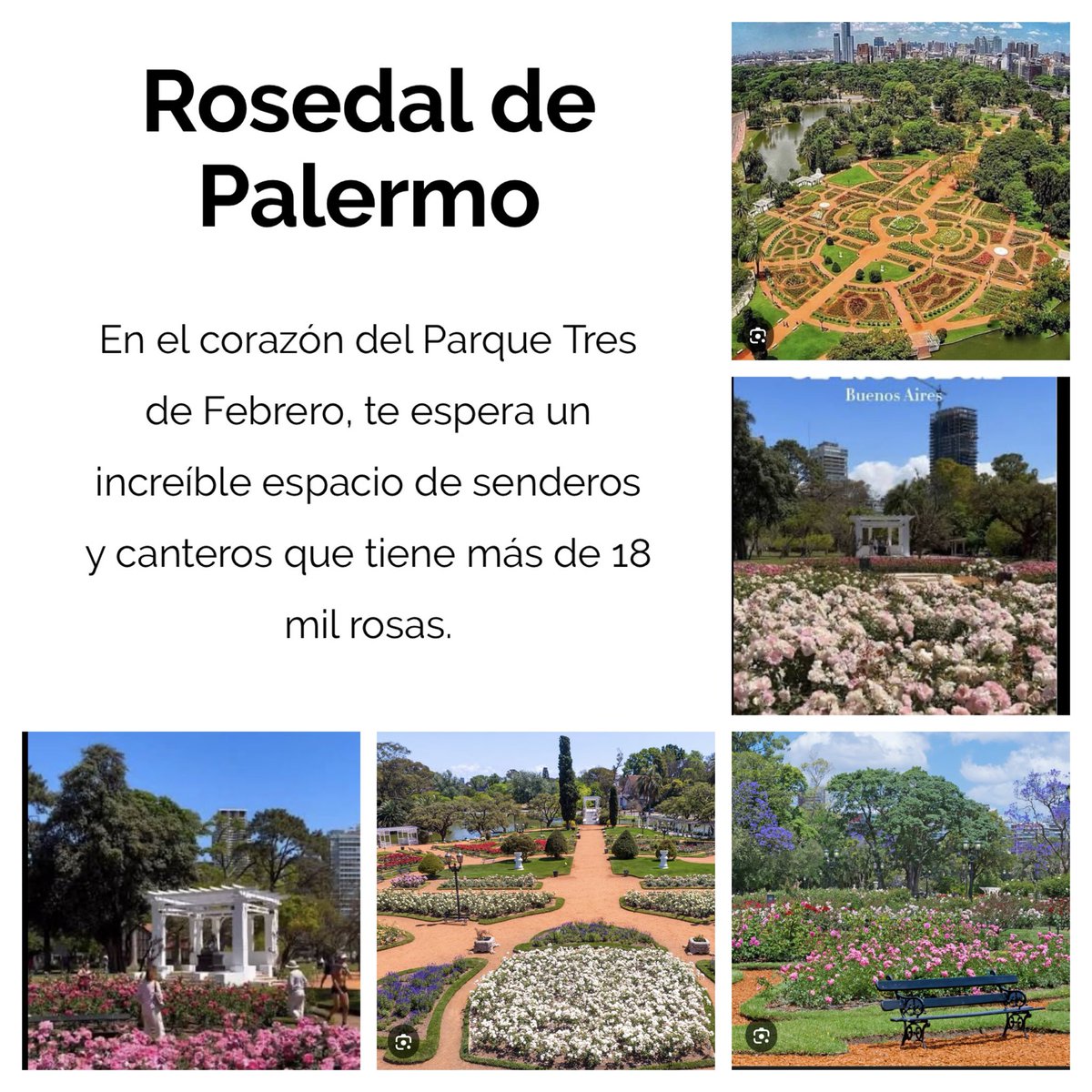 Leli Mai 💛 tweet media