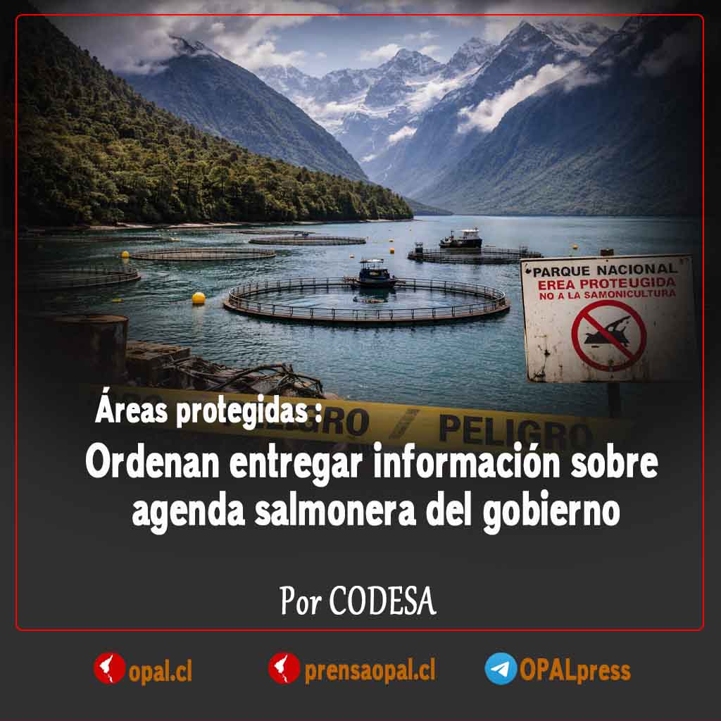 OPAL prensa tweet media