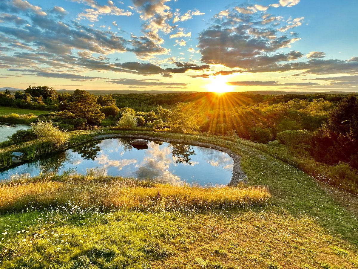 sjm8, PA-C tweet media