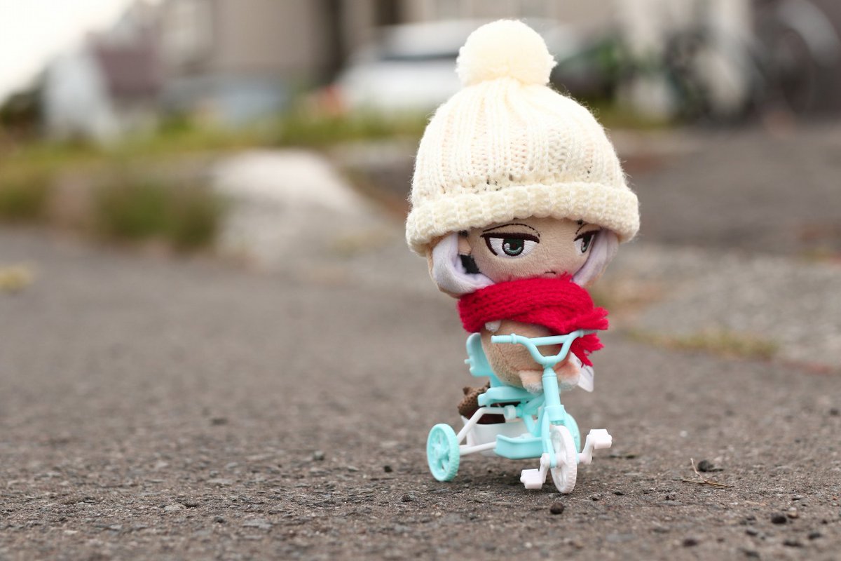 ビニー🦁🐘 tweet media