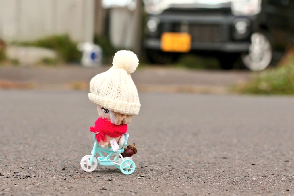 ビニー🦁🐘 tweet media