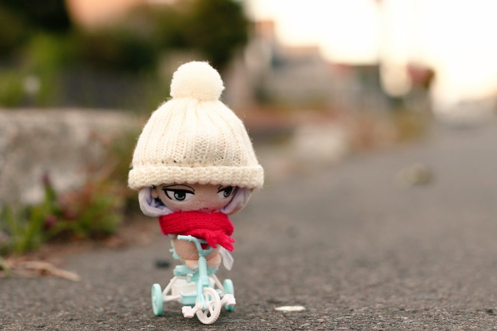 ビニー🦁🐘 tweet media