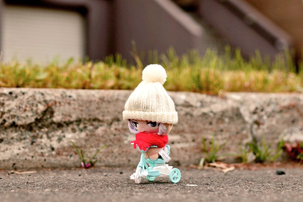 ビニー🦁🐘 tweet media