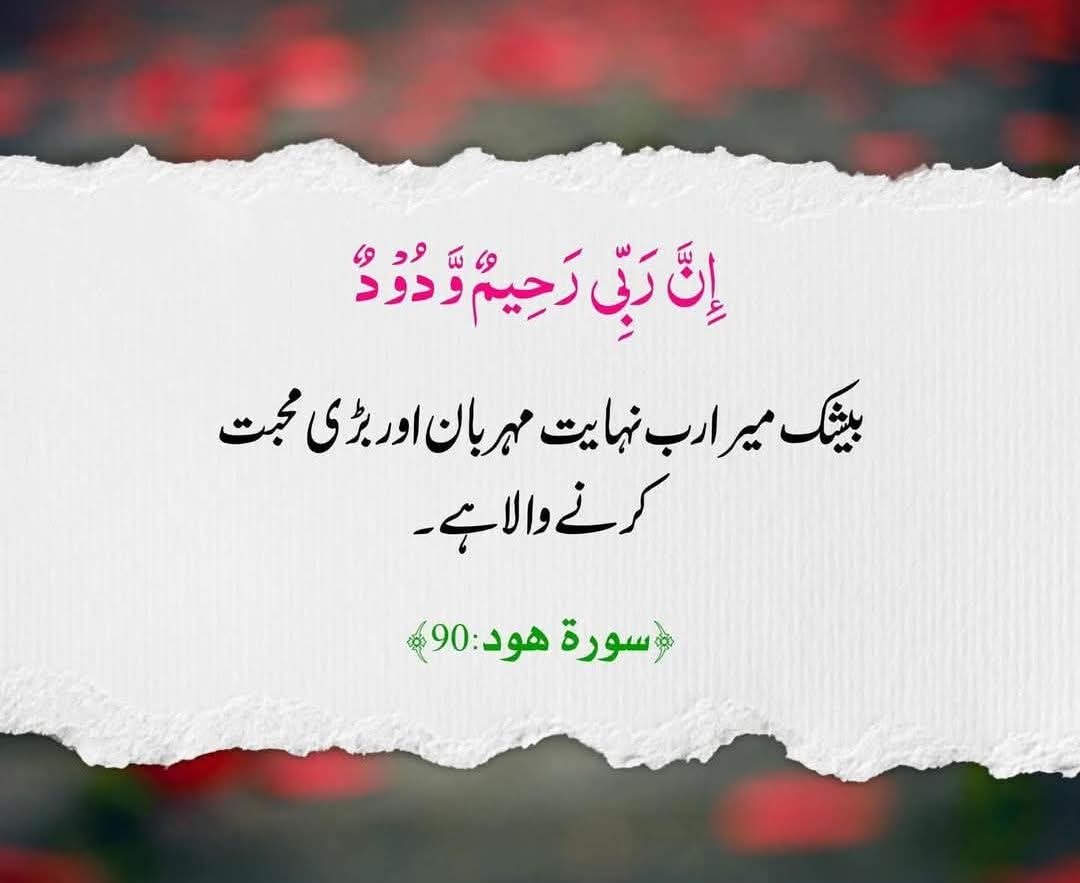 ❤️Waبaal e جaan❤️ tweet media