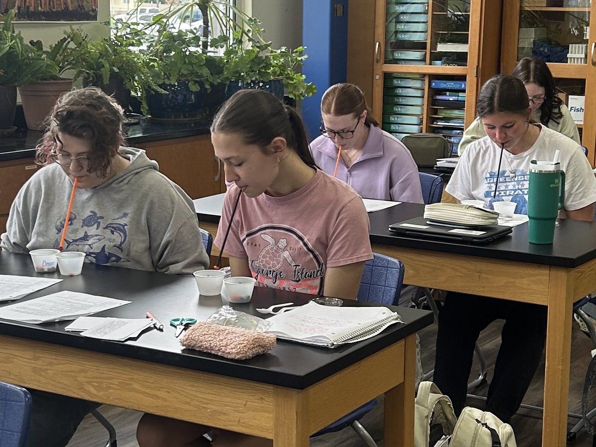 Mrs Tekulve tweet media