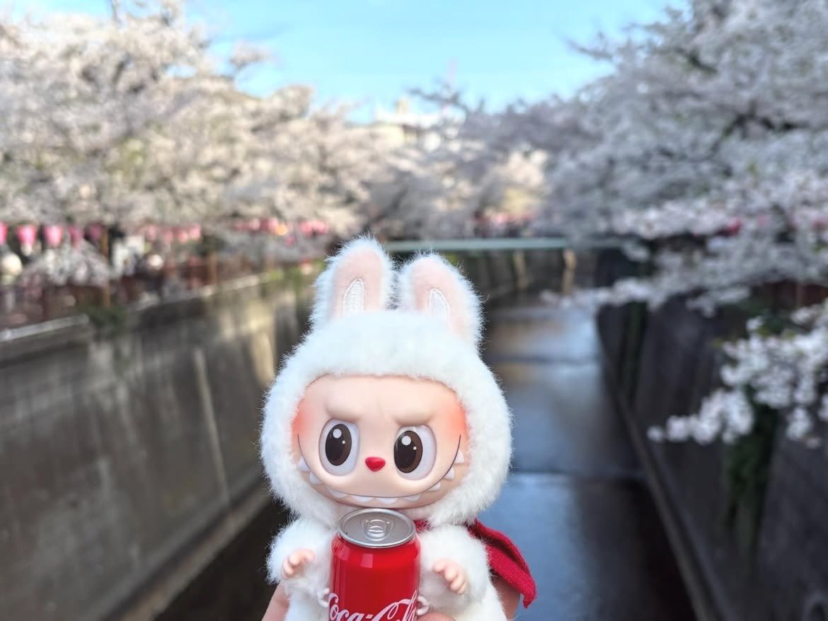 ボロロ tweet media